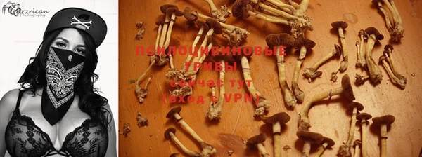 прущий лед Армянск