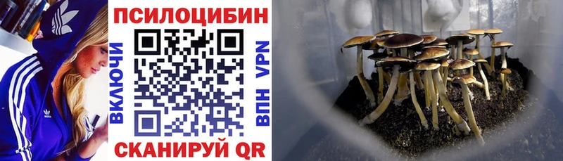 Галлюциногенные грибы GOLDEN TEACHER  Дмитриев 
